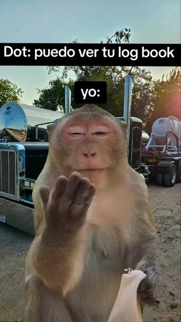 @roly_379