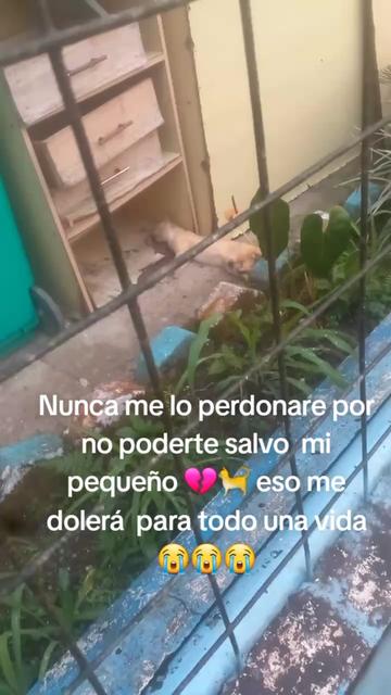 @Pame 🇪🇨🎀👩&zwj;🏫