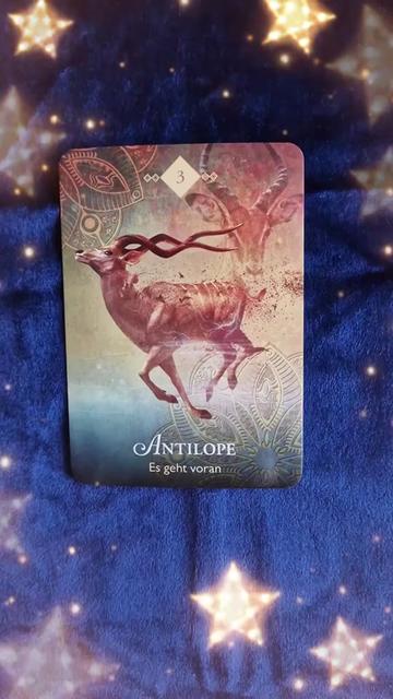 @Tarot Botschaft