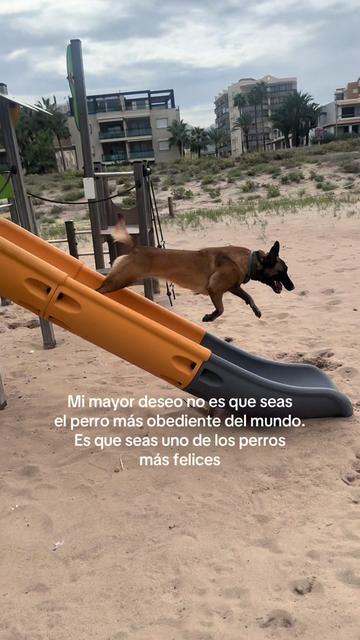 @Lobalobita