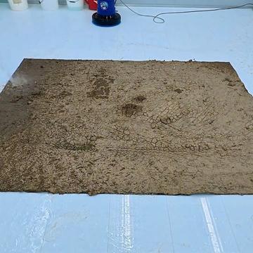 @Rug Restore