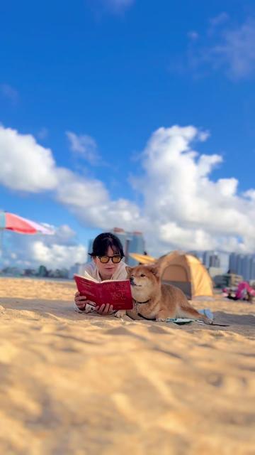 @틱톡하는시바🐕