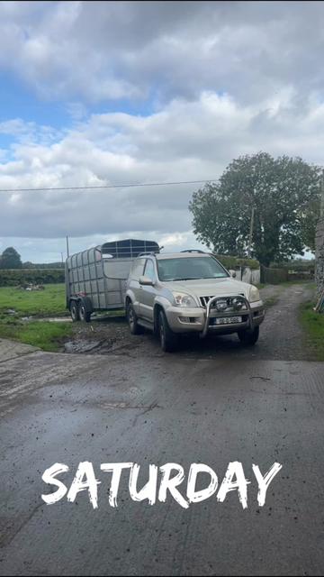 @Mulryanagri1