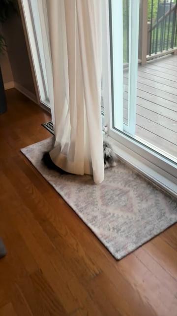@atchoumthecat
