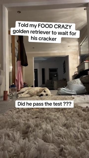 @lisachomeandbeauty