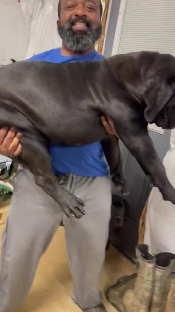 @kyboerboels