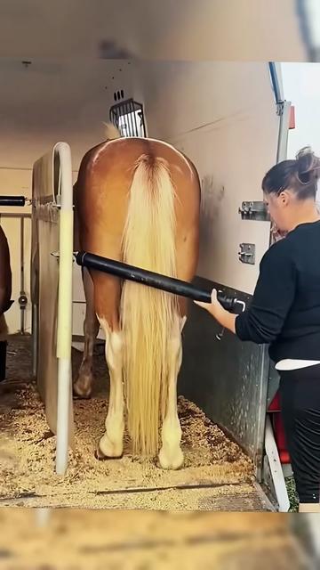@Babyhorsie