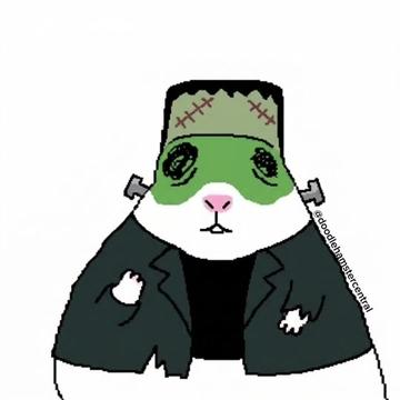 @doodlehamster