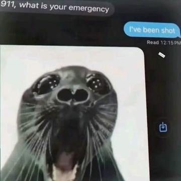 @Kai