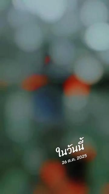 @Thai