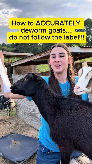 @Heart & Hoof Homestead