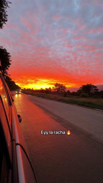 @Armando-Itzep🇬🇹