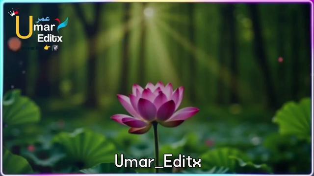 @Umar Writes ✍🏻