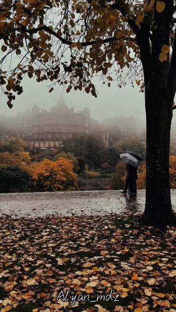 @Beauty of Scotland