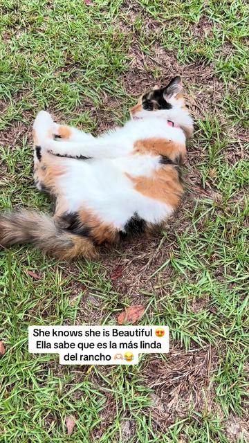 @miricountrylife