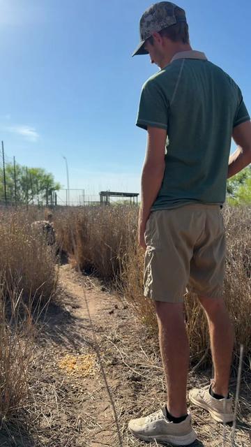 @WildLife Partners