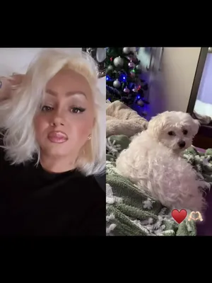 @🎀Kristin🎀Kristin🎀