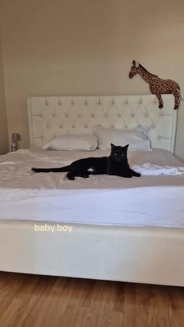 @Νωρσχ Περισο