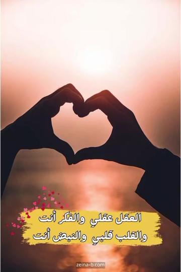 @انس الشامي