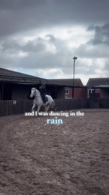 @LottiesHorseAdventures🦄🐴