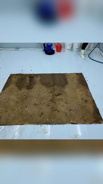 @Rug Restore