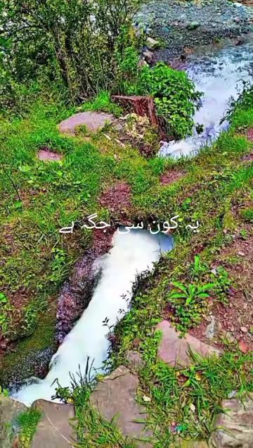 @it's kashmiri