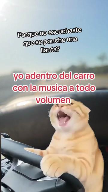 @Alma