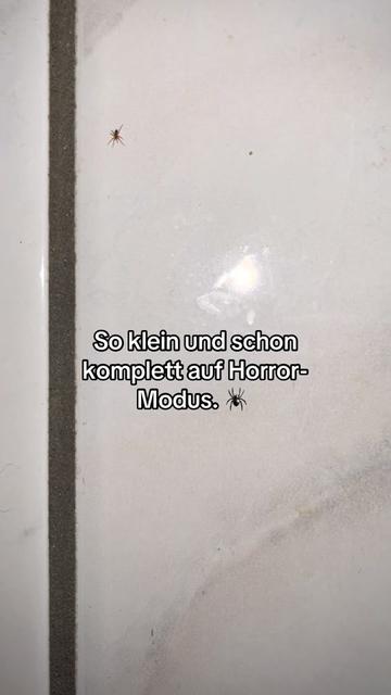 @klaudia.xo