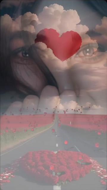 @Dora Mac 325