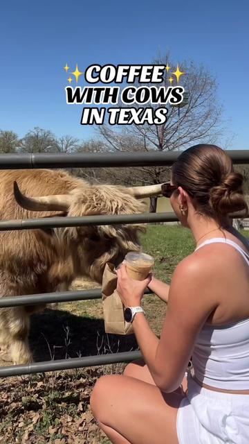 @Texas Love List