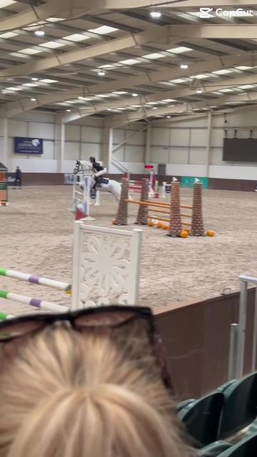 @amelia_showjumping2
