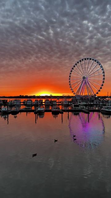@haj