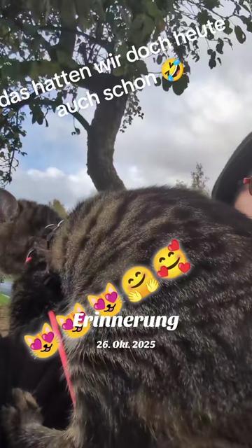 @😻Katrin&Odin 😻Modi Muddi 😻