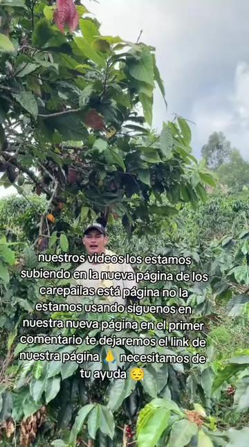 @Ram&oacute;n clips
