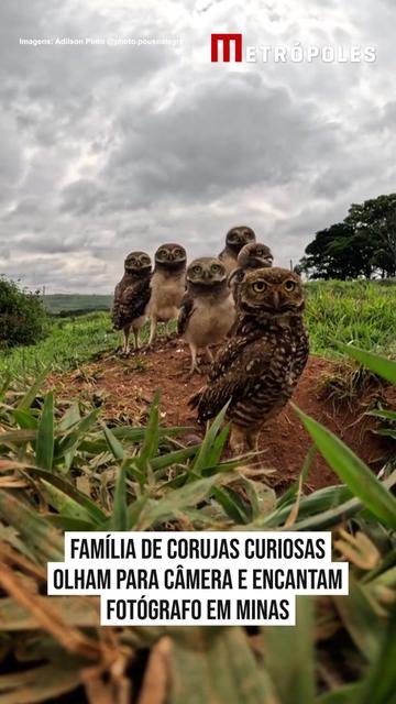 @Metr&oacute;poles Oficial