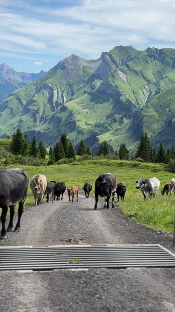 @Lech Zürs am Arlberg