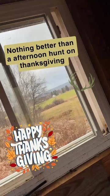 @Halie (SAHMx3)