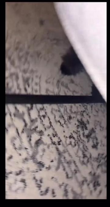 @fluffy_cosmo