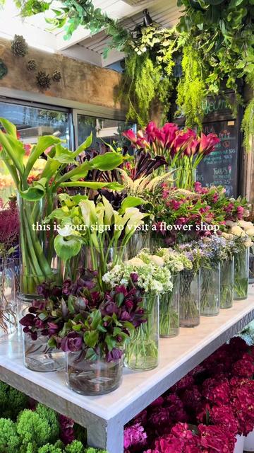 @The Empty Vase