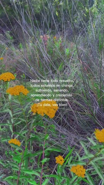 @Vero Aiko Ŀuŋä