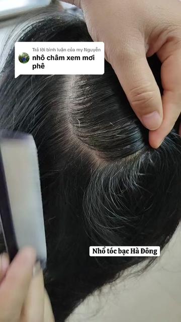 @Nhổ tóc bạc Hà Đông