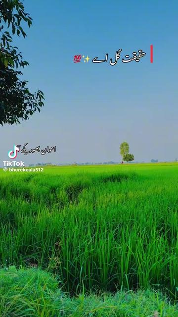 @manjit aig