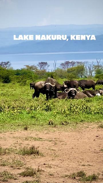 @Solo.Africa.Overland