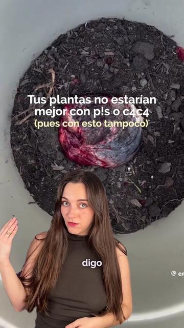 @Bloom