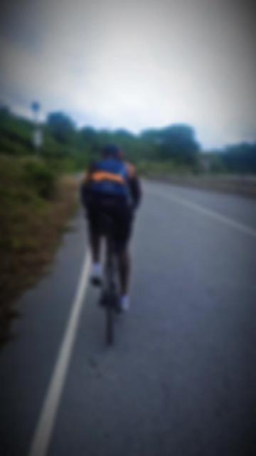 @pedalpulse