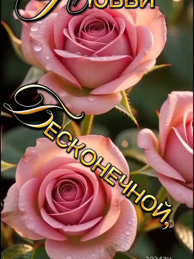 @꧁࿇♥𝓢𝓿𝓮𝓽𝓵𝓪𝓷𝓪꧁♥࿇꧂
