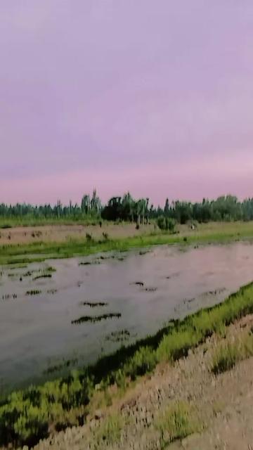 @Rohail 888