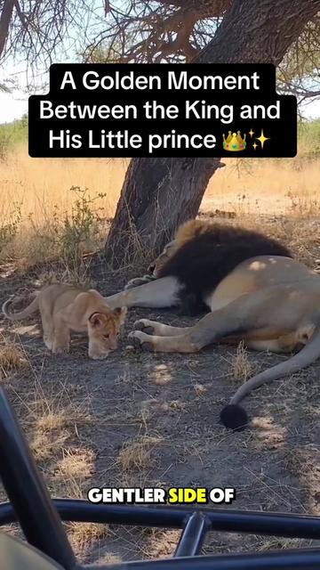 @KJ@LoveAnimalsEpicNature