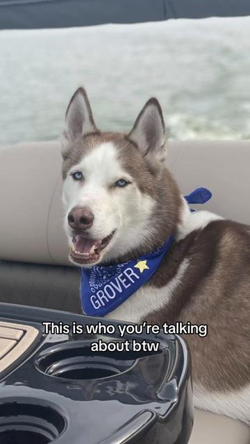 @Grover
