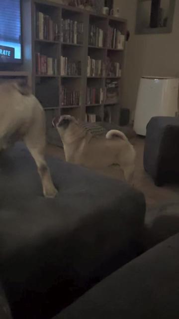 @Rodders & Trigger